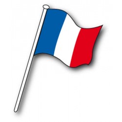 Drapeau commissaire National