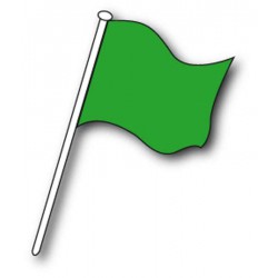 Drapeau commissaire Vert